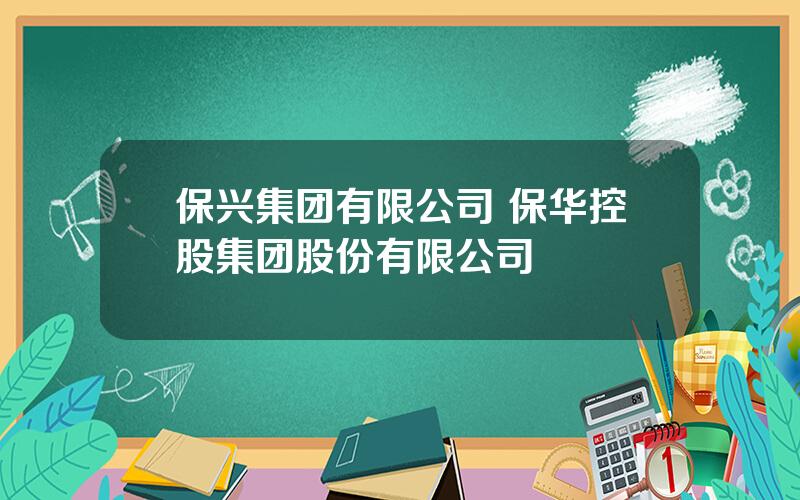 保兴集团有限公司 保华控股集团股份有限公司